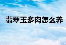 翡翠玉多肉怎么養(yǎng)（翡翠玉多肉如何養(yǎng)護(hù)）