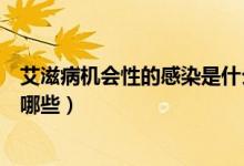 艾滋病機(jī)會(huì)性的感染是什么意思（艾滋病常見機(jī)會(huì)性感染有哪些）