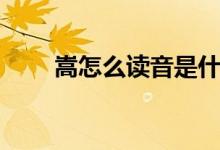 嵩怎么讀音是什么意思（嵩怎么讀）