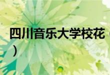 四川音樂大學(xué)校花（四川音樂學(xué)院?；Ь_）
