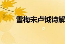 雪梅宋盧鉞詩解析（雪梅宋盧鉞詩）