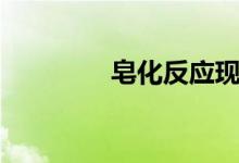 皂化反應(yīng)現(xiàn)象（皂化反應(yīng)）