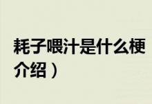 耗子喂汁是什么梗（關(guān)于耗子喂汁是什么梗的介紹）