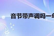 音節(jié)帶聲調(diào)嗎一年級（音節(jié)帶聲調(diào)嗎）
