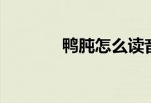 鴨肫怎么讀音（鴨肫怎么讀）