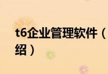 t6企業(yè)管理軟件(關于t6企業(yè)管理軟件的介紹)