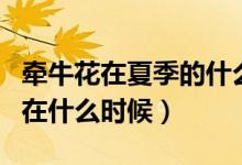 牽牛花在夏季的什么時候開花（牽?；ǖ幕ㄆ谠谑裁磿r候）