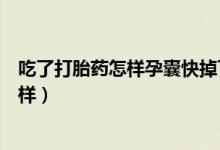 吃了打胎藥怎樣孕囊快掉下來（吃打胎藥掉下來的孕囊什么樣）