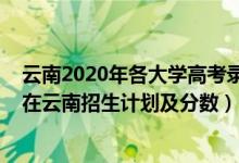 云南2020年各大學(xué)高考錄取分?jǐn)?shù)線（2022年全國各大高校在云南招生計劃及分?jǐn)?shù)）