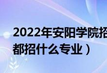 2022年安陽學(xué)院招生計(jì)劃及招生人數(shù)（各省都招什么專業(yè)）