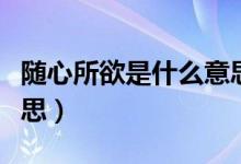 隨心所欲是什么意思日語（隨心所欲是什么意思）