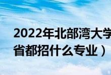 2022年北部灣大學(xué)招生計(jì)劃及招生人數(shù)（各省都招什么專業(yè)）