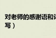 對老師的感謝語和評價（對老師的感謝語怎么寫）