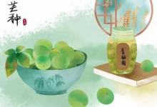 2022成都靠譜老牌海選品茶場子現場酒店工作室推薦