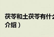 茯苓和土茯苓有什么區(qū)別（茯苓和土茯苓區(qū)別介紹）