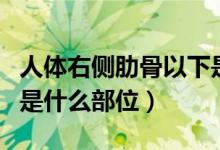 人體右側(cè)肋骨以下是什么部位（人體肋骨下方是什么部位）