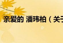 親愛(ài)的 潘瑋柏（關(guān)于親愛(ài)的 潘瑋柏的介紹）