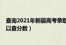 查詢(xún)2021年新疆高考錄取分（新疆2022年高考什么時(shí)候可以查分?jǐn)?shù)）