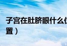 子宮在肚臍眼什么位置(子宮在肚臍眼什么位置)