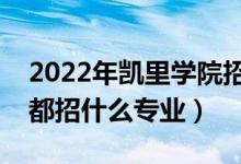 2022年凱里學(xué)院招生計(jì)劃及招生人數(shù)（各省都招什么專業(yè)）