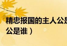 精忠報(bào)國(guó)的主人公是誰(shuí)視頻（精忠報(bào)國(guó)的主人公是誰(shuí)）