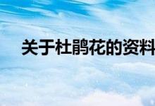 關(guān)于杜鵑花的資料（有關(guān)杜鵑花的簡(jiǎn)介）