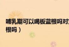 哺乳期可以喝板藍(lán)根嗎對寶寶有影響嗎（哺乳期可以喝板藍(lán)根嗎）