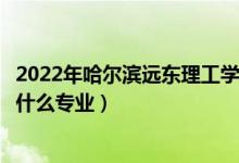 2022年哈爾濱遠(yuǎn)東理工學(xué)院招生計劃及招生人數(shù)（各省都招什么專業(yè)）