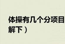 體操有幾個(gè)分項(xiàng)目,分別為什么（快來(lái)這里了解下）
