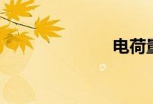 電荷量（電荷）
