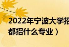 2022年寧波大學(xué)招生計劃及招生人數(shù)（各省都招什么專業(yè)）