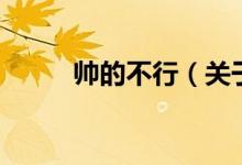 帥的不行（關(guān)于帥的不行的介紹）