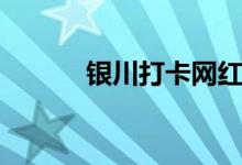 銀川打卡網(wǎng)紅地（銀川打一字）