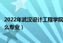 2022年武漢設計工程學院招生計劃及招生人數(shù)（各省都招什么專業(yè)）