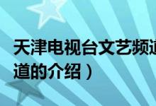 天津電視臺文藝頻道（關(guān)于天津電視臺文藝頻道的介紹）