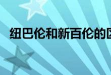 紐巴倫和新百倫的區(qū)別（兩者怎么區(qū)分呢）