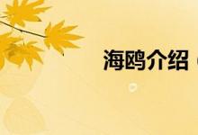 海鷗介紹（海鷗的簡(jiǎn)介）