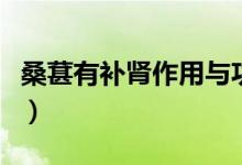 桑葚有補(bǔ)腎作用與功效嗎（桑葚對陰莖的好處）