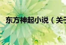 東方神起小說（關(guān)于東方神起小說的介紹）