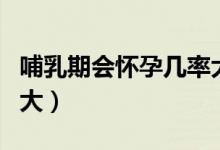 哺乳期會(huì)懷孕幾率大嗎(哺乳期會(huì)懷孕幾率多大)
