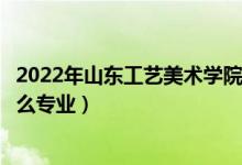 2022年山東工藝美術學院招生計劃及招生人數(shù)（各省都招什么專業(yè)）