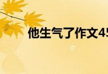 他生氣了作文450字（范文請(qǐng)查收）