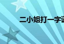 二小姐打一字謎（二小姐打一字）