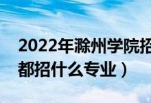 2022年滁州學(xué)院招生計(jì)劃及招生人數(shù)（各省都招什么專業(yè)）