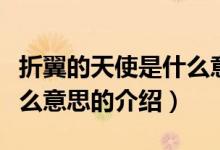 折翼的天使是什么意思（關(guān)于折翼的天使是什么意思的介紹）