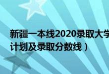 新疆一本線2020錄取大學(xué)（2022年雙一流大學(xué)在新疆招生計(jì)劃及錄取分?jǐn)?shù)線）
