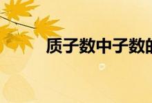 質(zhì)子數(shù)中子數(shù)的位置圖（質(zhì)子數(shù)）