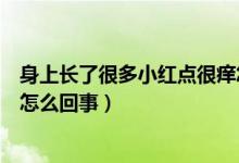 身上長了很多小紅點很癢怎么啦（身上長了很多小紅點很癢怎么回事）
