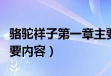 駱駝祥子第一章主要內(nèi)容（駱駝祥子第一章主要內(nèi)容）
