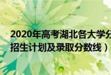2020年高考湖北各大學(xué)分?jǐn)?shù)線（2022年雙一流大學(xué)在湖北招生計(jì)劃及錄取分?jǐn)?shù)線）